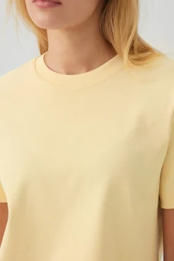 Cropped Boxy Crew Neck T-Shirt