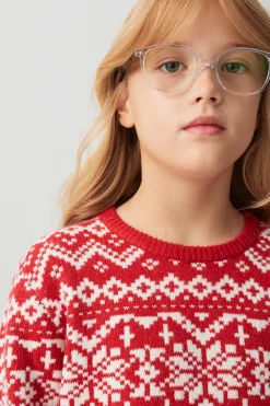 Family Holiday Sweater