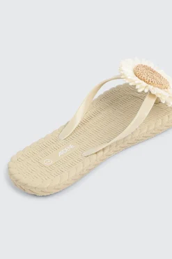 Jelly Floral Flip Flops