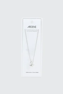 14K White Gold Plated Dolphin Necklace