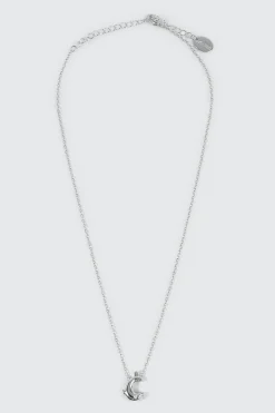 14K White Gold Plated Dolphin Necklace