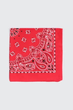 Paisley Bandana