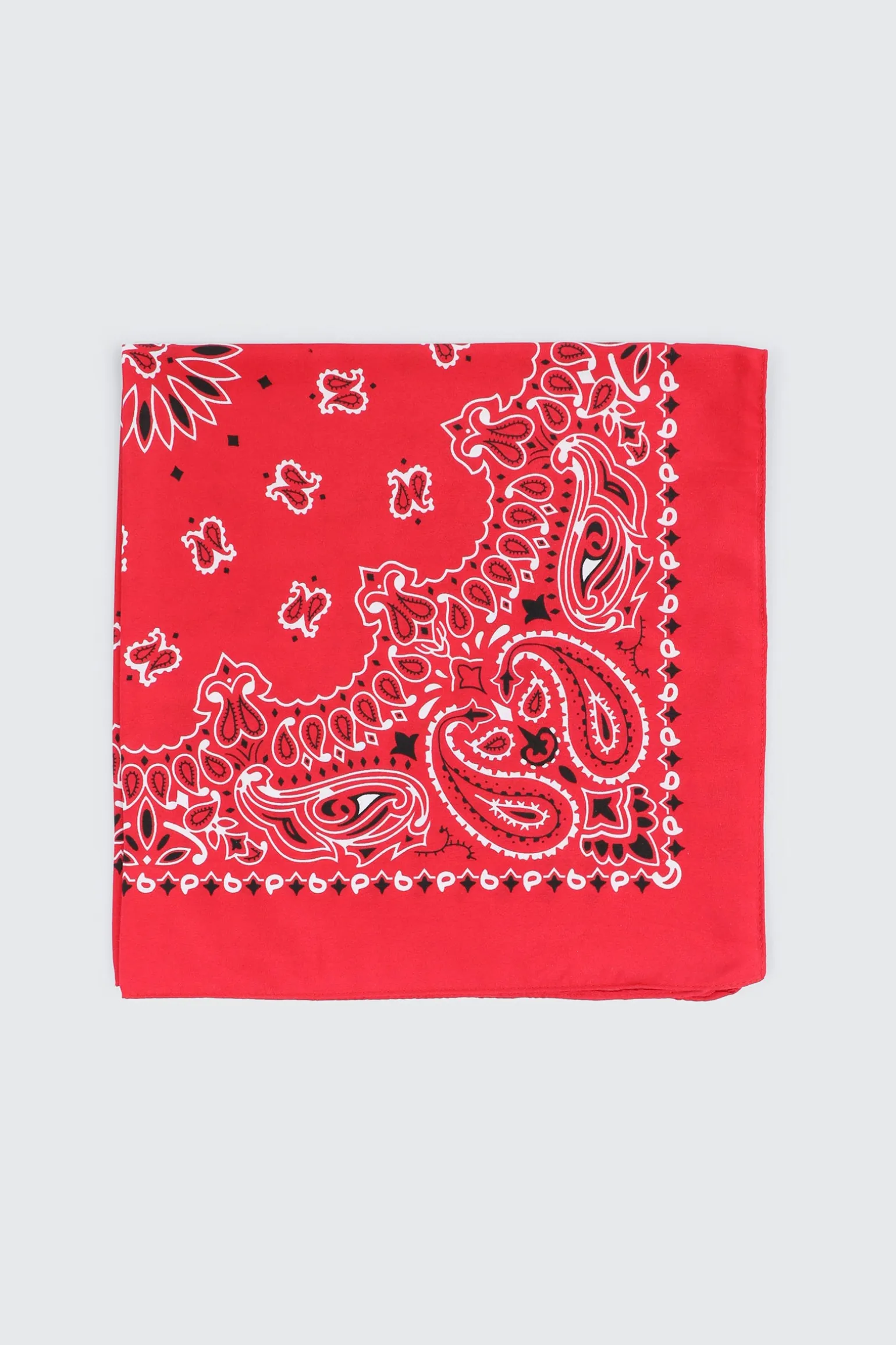 Paisley Bandana