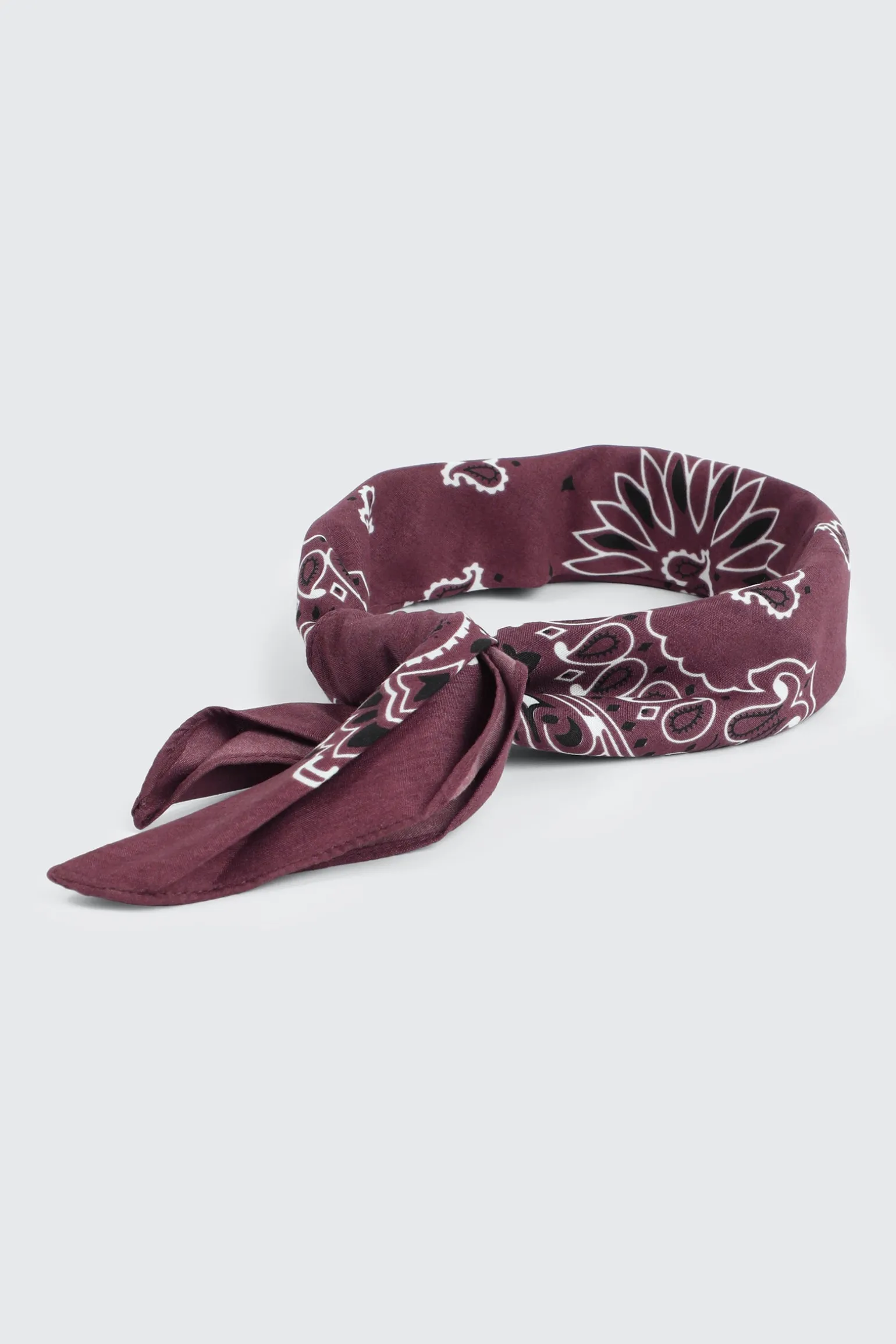 Paisley Bandana