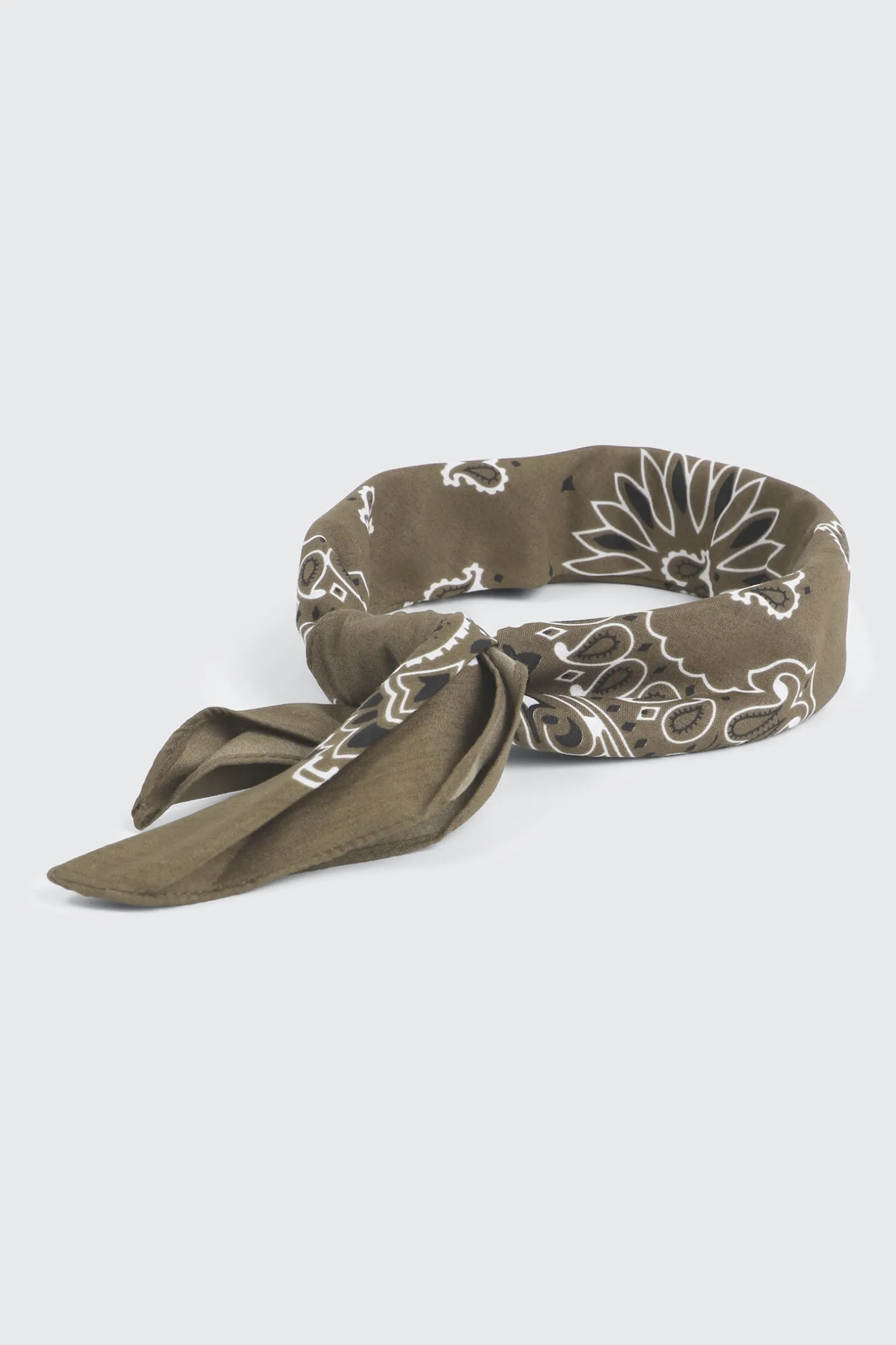 Paisley Bandana