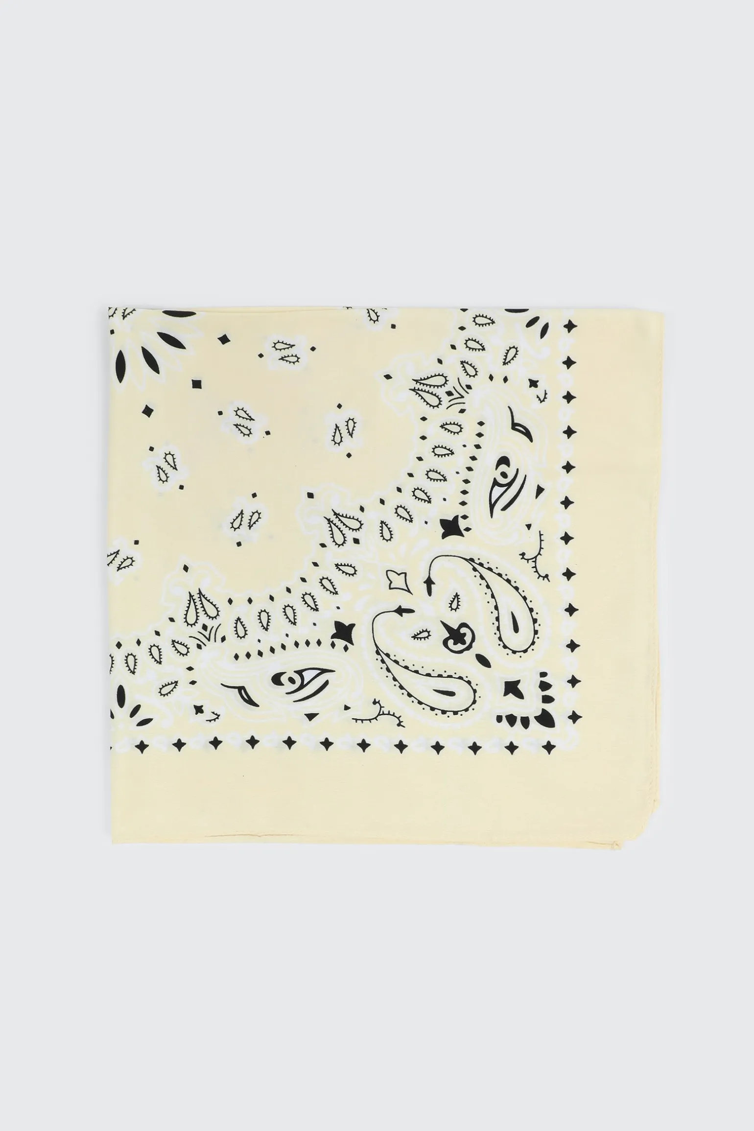 Paisley Bandana