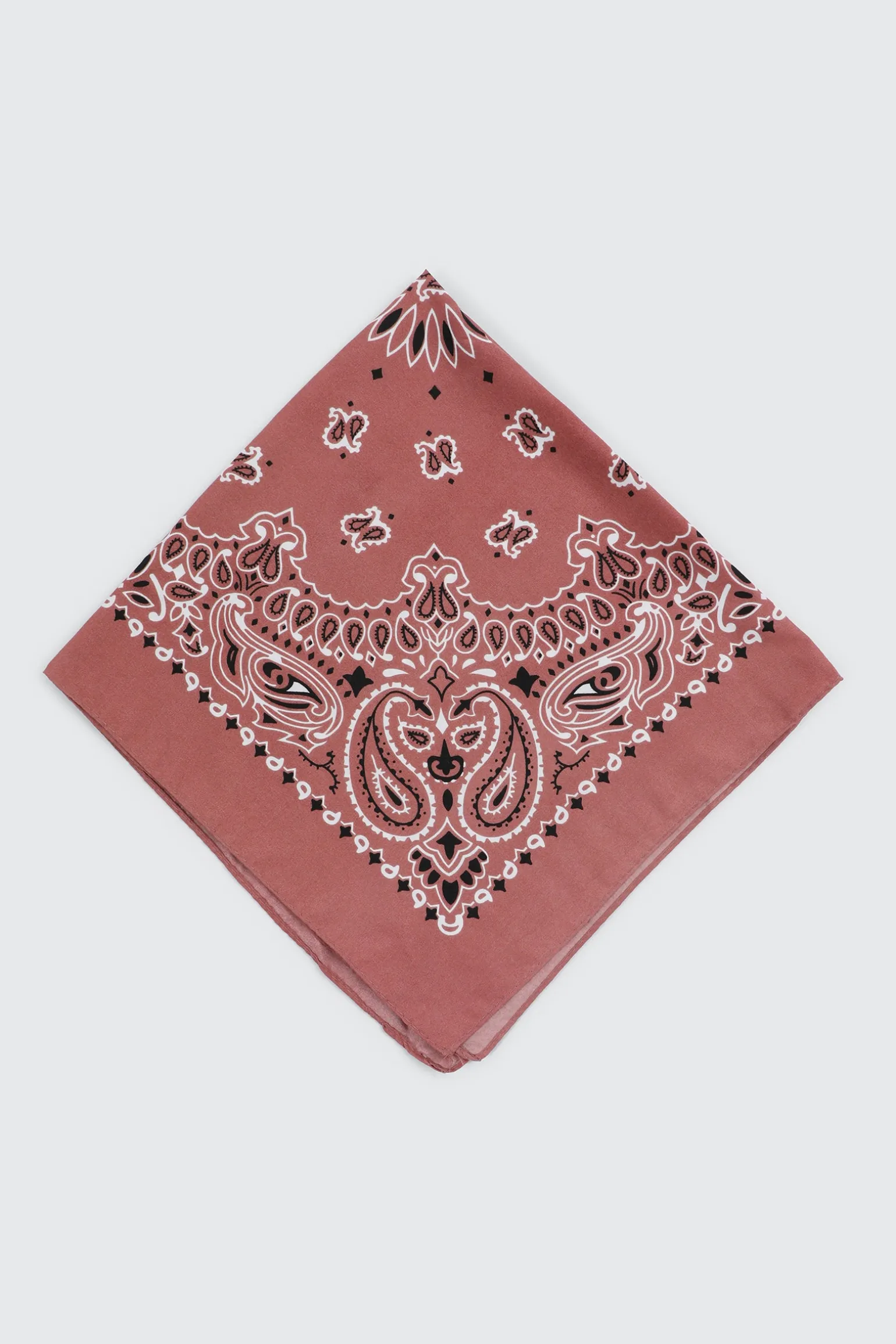 Paisley Bandana