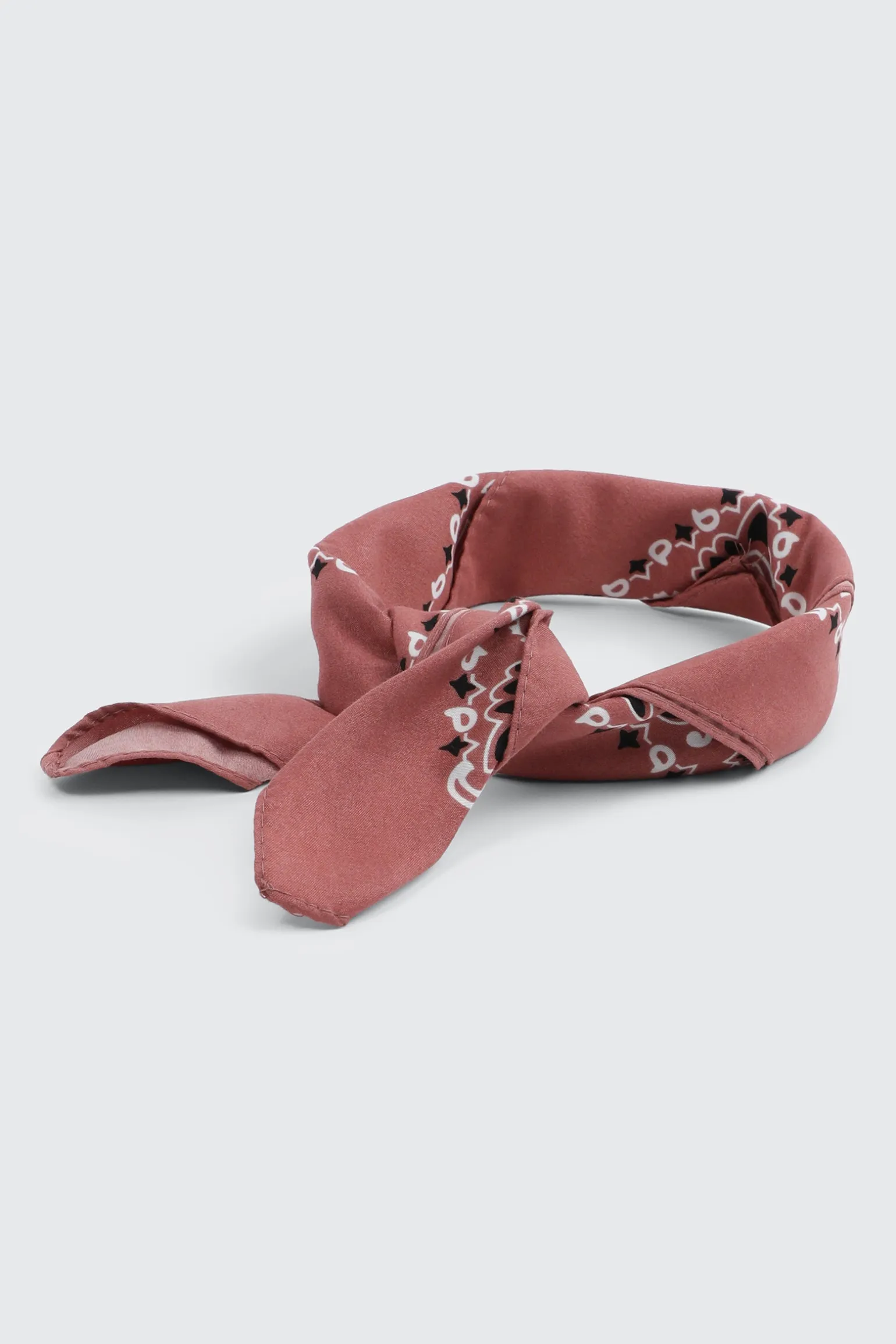 Paisley Bandana