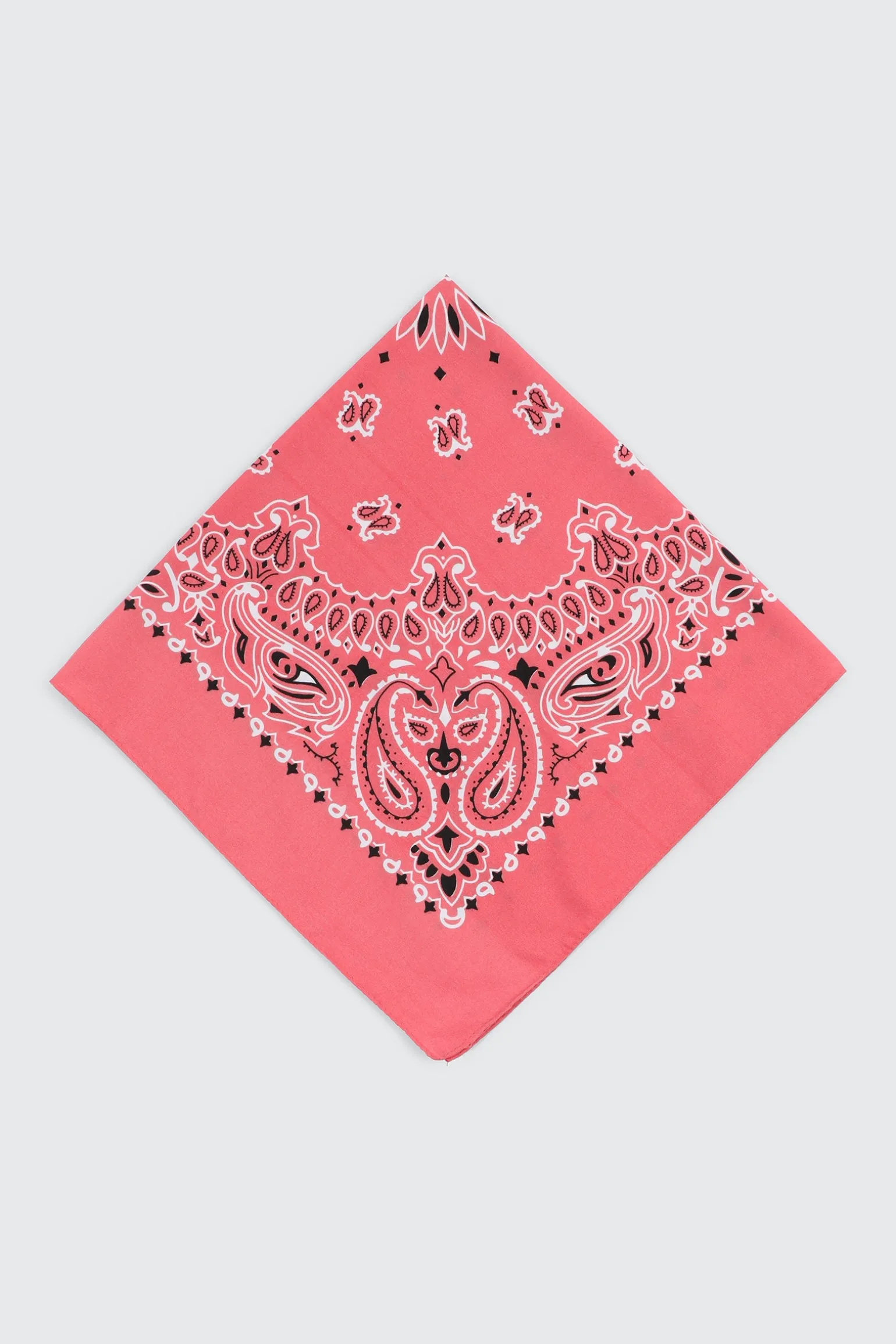 Paisley Bandana