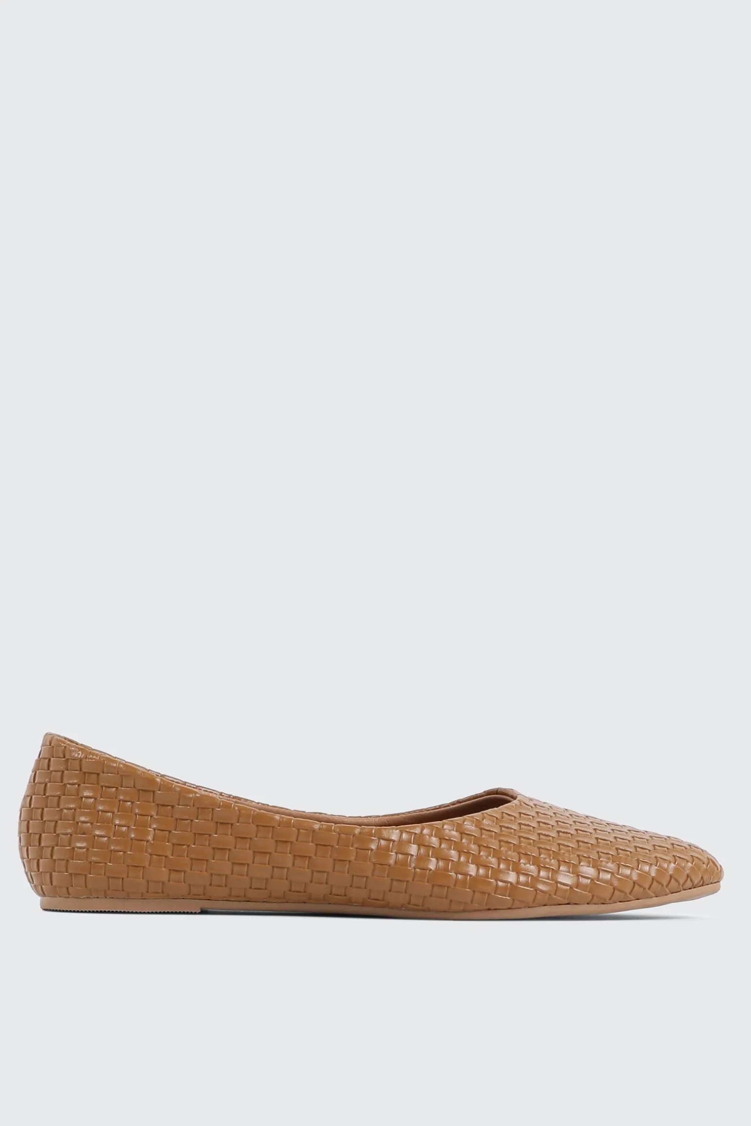 Pointed Toe Flats