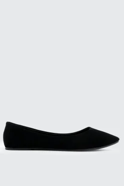 Pointy Toe Flats
