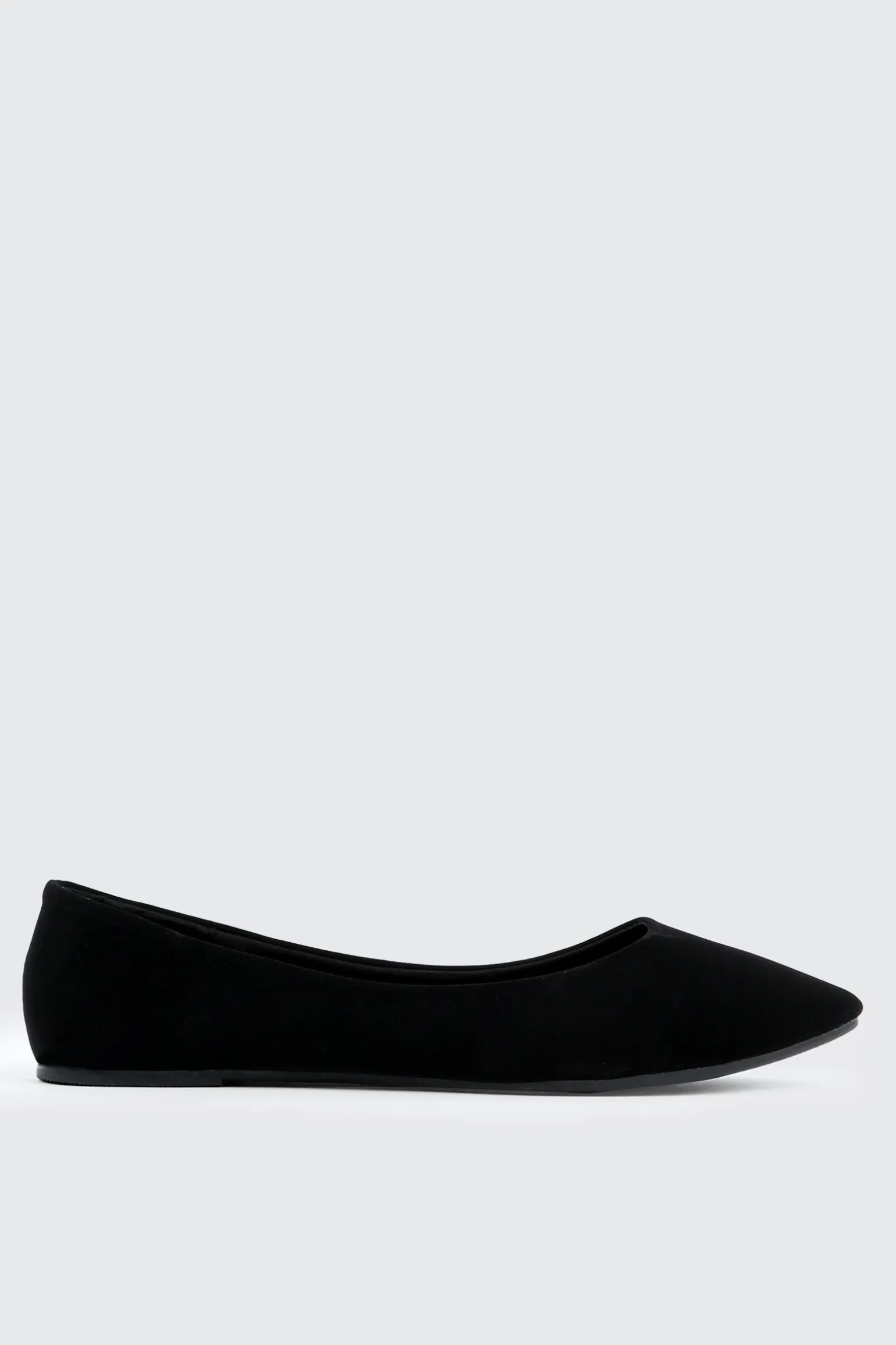 Pointy Toe Flats