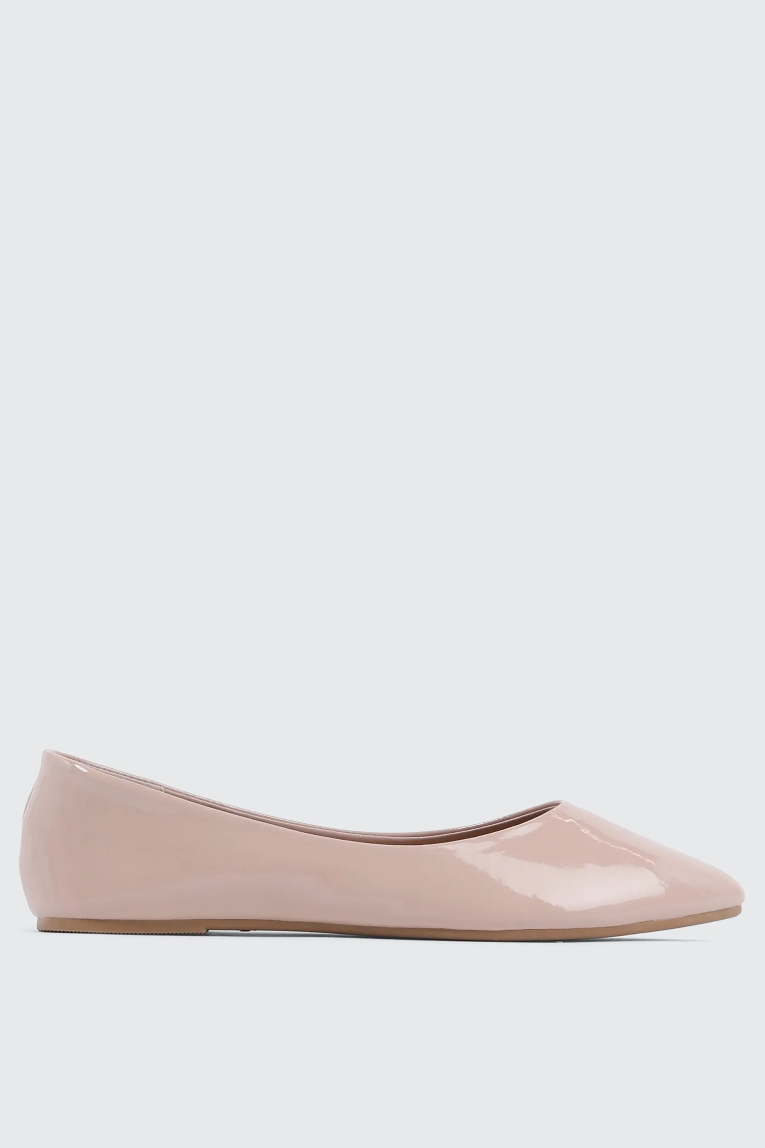 Pointy Toe Flats