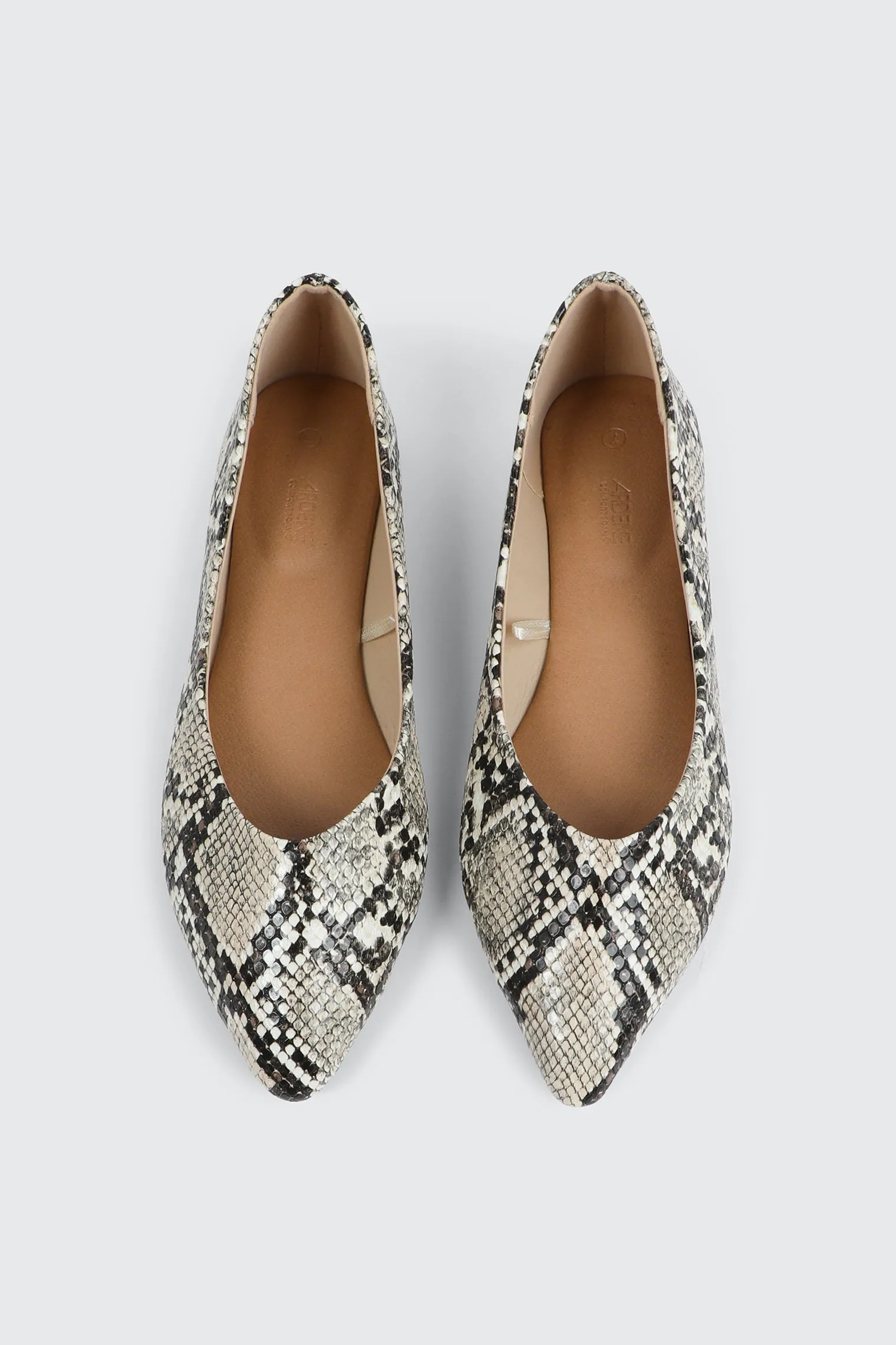 Pointy Toe Flats