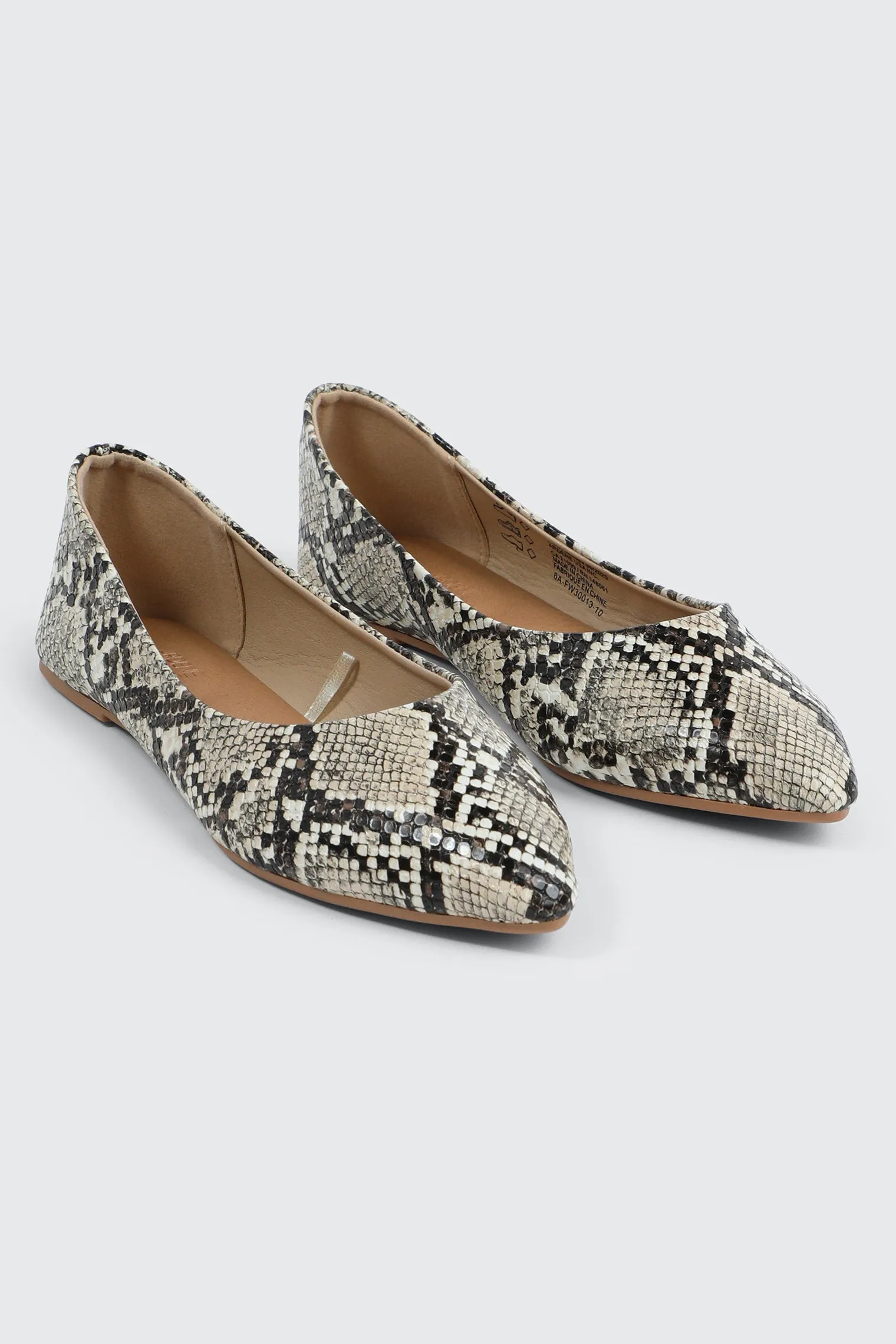 Pointy Toe Flats