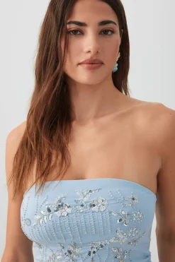 Sequin Beaded Tube Top