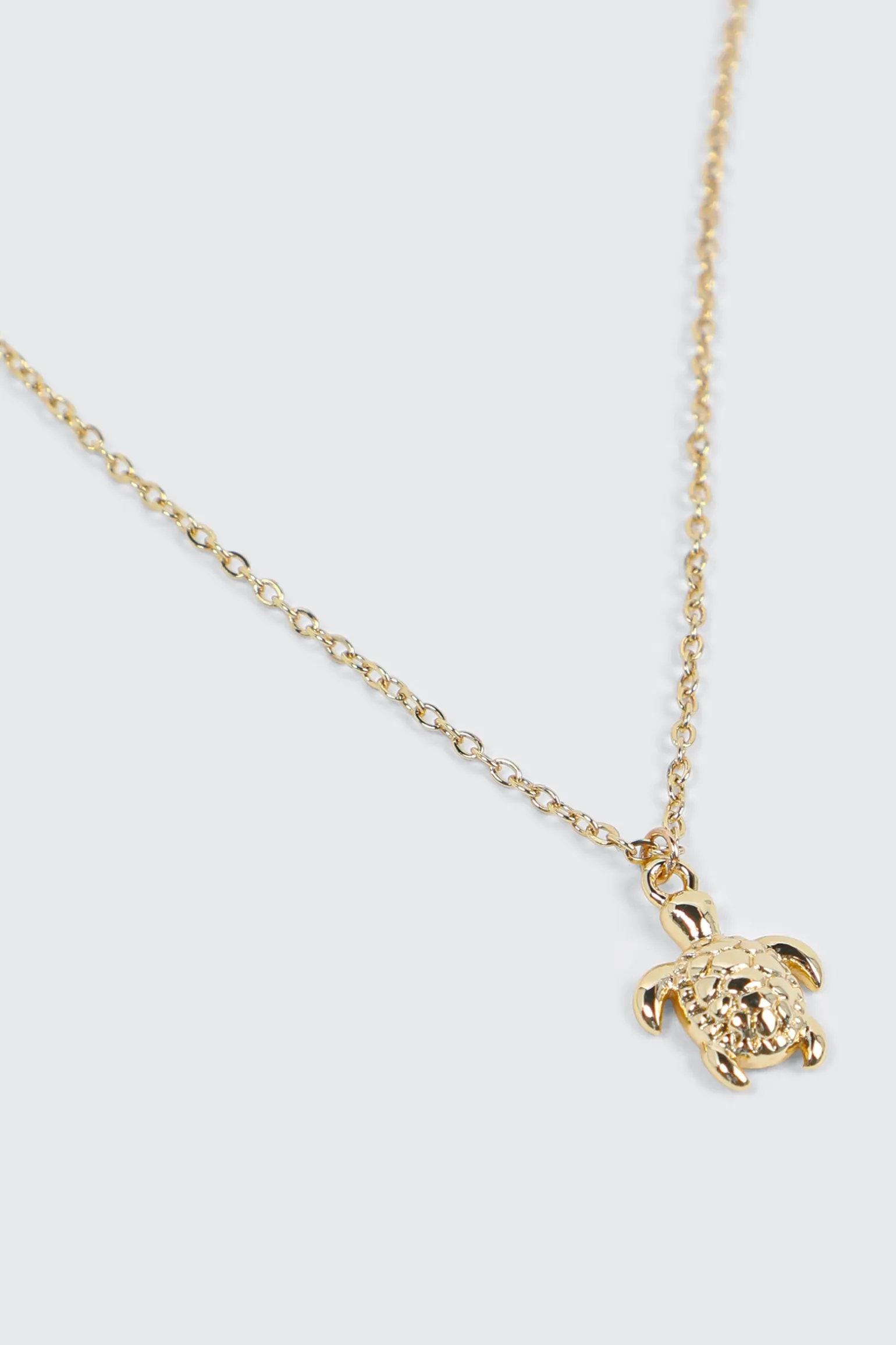Stainless Steel Turtle Necklace