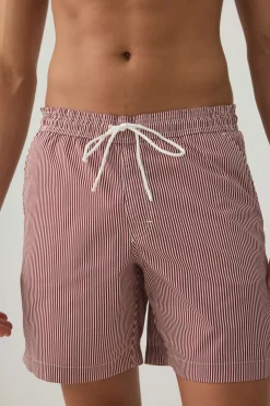 Striped Print Swim Trunks