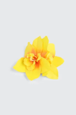 Tropical Flower Hair Clip