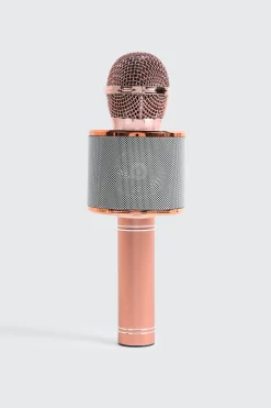 Wireless Microphone Hi-FI Speaker