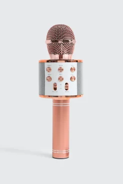 Wireless Microphone Hi-FI Speaker