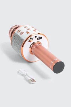 Wireless Microphone Hi-FI Speaker